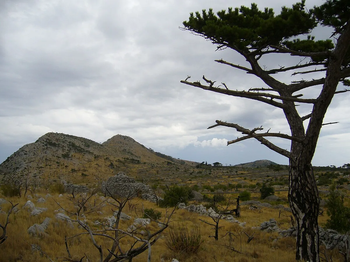Karstlandschaft im Süden der kroatischen Insel Hvar